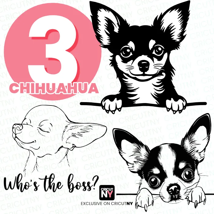 Chihuahua Image Bundle