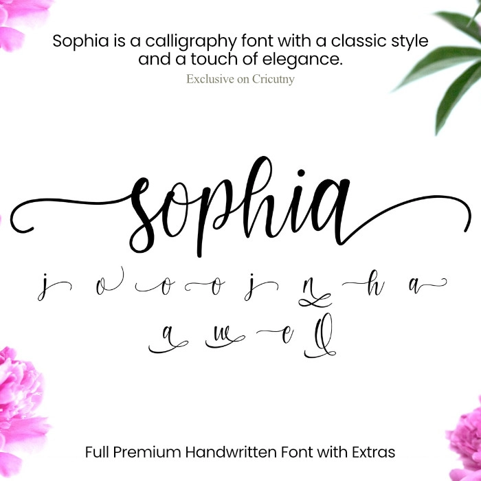 Handwriting script font with tails